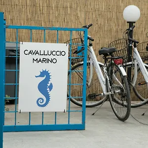 Cavalluccio Marino , Favignana Italia